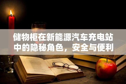 储物柜在新能源汽车充电站中的隐秘角色，安全与便利的双重保障？