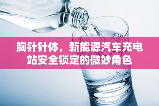 胸针针体，新能源汽车充电站安全锁定的微妙角色