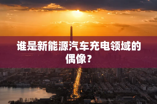 谁是新能源汽车充电领域的偶像？