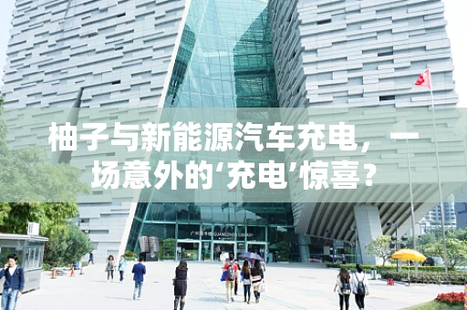 柚子与新能源汽车充电，一场意外的‘充电’惊喜？