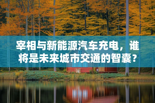 宰相与新能源汽车充电，谁将是未来城市交通的智囊？