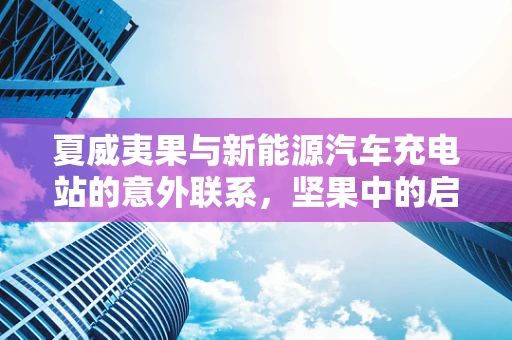 夏威夷果与新能源汽车充电站的意外联系，坚果中的启示