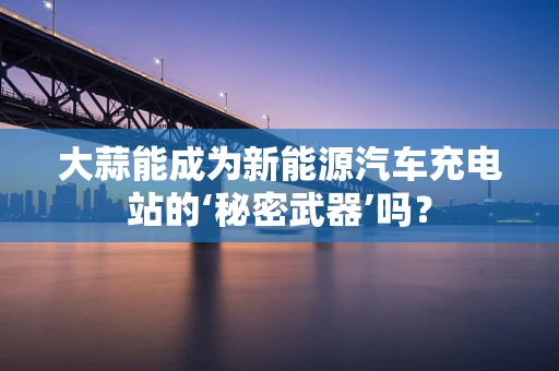 大蒜能成为新能源汽车充电站的‘秘密武器’吗？