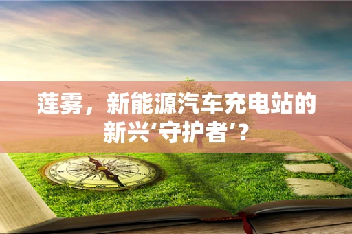 莲雾，新能源汽车充电站的新兴‘守护者’？