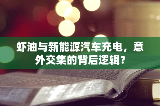 虾油与新能源汽车充电，意外交集的背后逻辑？