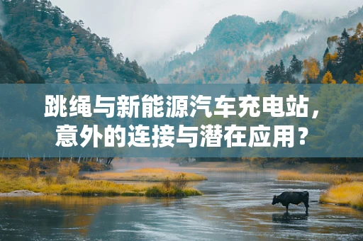 跳绳与新能源汽车充电站，意外的连接与潜在应用？
