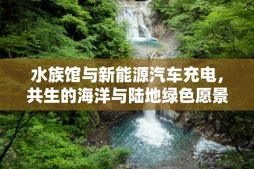 水族馆与新能源汽车充电，共生的海洋与陆地绿色愿景