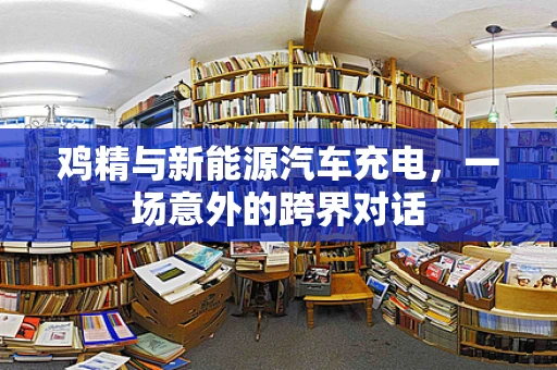 鸡精与新能源汽车充电，一场意外的跨界对话