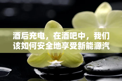 酒后充电，在酒吧中，我们该如何安全地享受新能源汽车的便利？