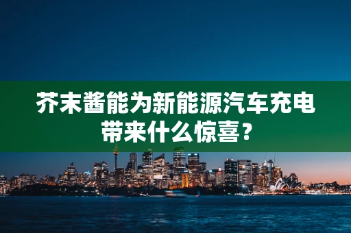 芥末酱能为新能源汽车充电带来什么惊喜？