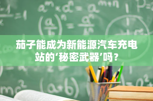 茄子能成为新能源汽车充电站的‘秘密武器’吗？