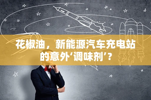 花椒油，新能源汽车充电站的意外‘调味剂’？
