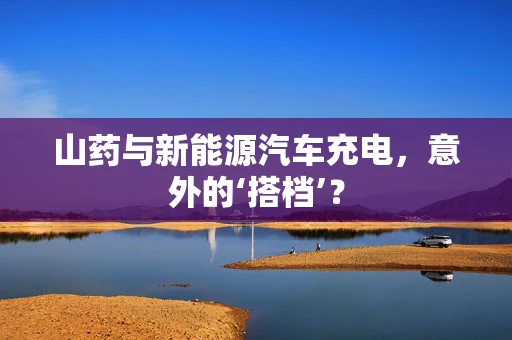 山药与新能源汽车充电，意外的‘搭档’？