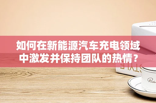 如何在新能源汽车充电领域中激发并保持团队的热情？