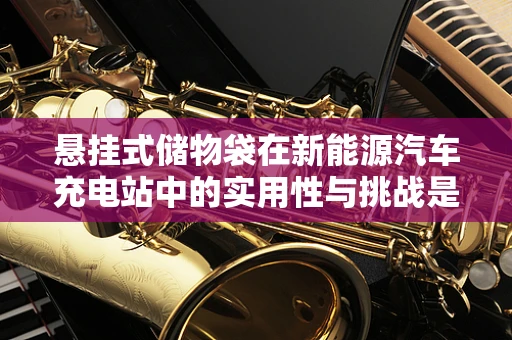 悬挂式储物袋在新能源汽车充电站中的实用性与挑战是什么？