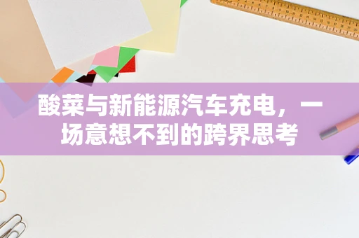 酸菜与新能源汽车充电，一场意想不到的跨界思考