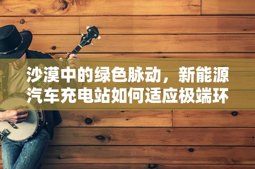 沙漠中的绿色脉动，新能源汽车充电站如何适应极端环境？