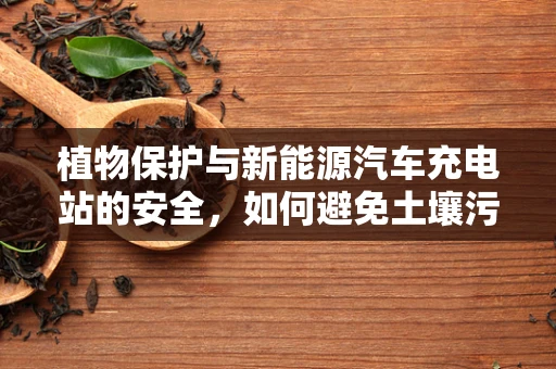 植物保护与新能源汽车充电站的安全，如何避免土壤污染影响充电设施？