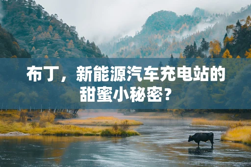 布丁，新能源汽车充电站的甜蜜小秘密？