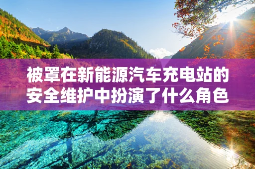 被罩在新能源汽车充电站的安全维护中扮演了什么角色？